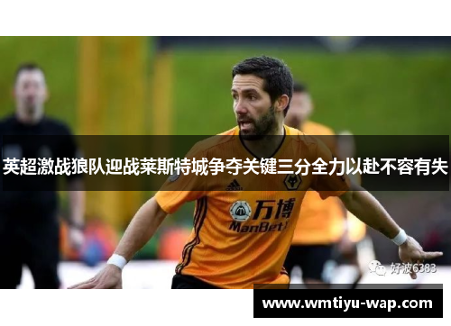 英超激战狼队迎战莱斯特城争夺关键三分全力以赴不容有失