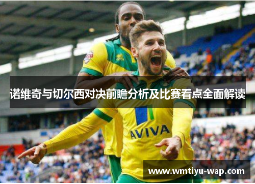 诺维奇与切尔西对决前瞻分析及比赛看点全面解读