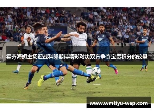 霍芬海姆主场迎战科隆期待精彩对决双方争夺宝贵积分的较量